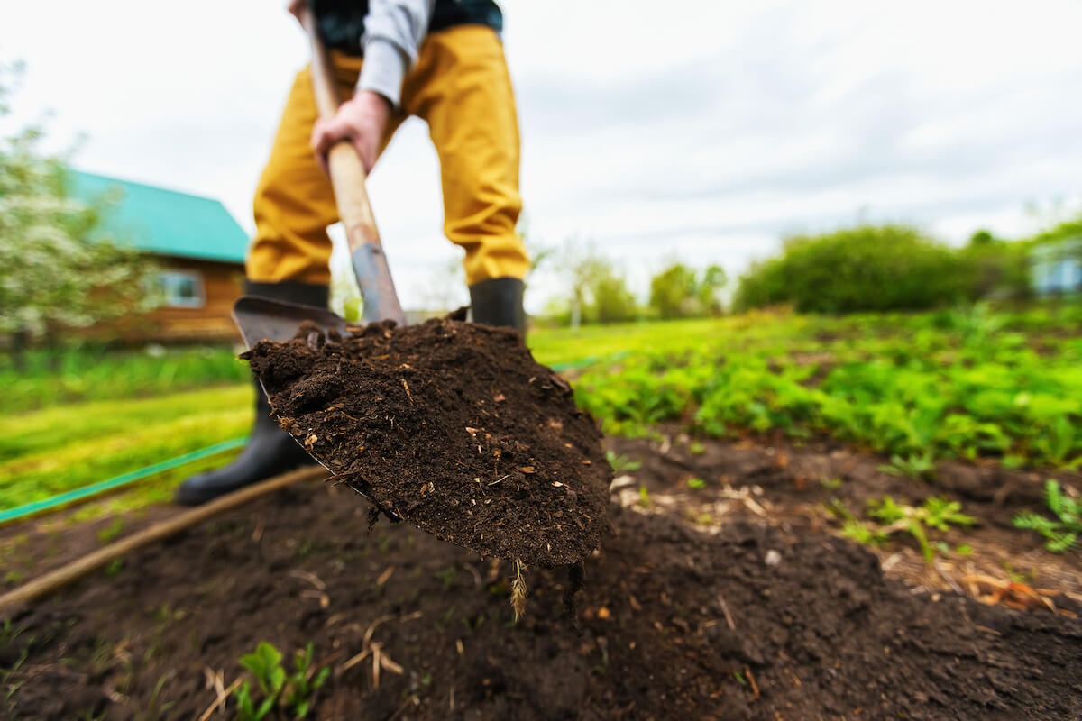 photo of a garden and gardener with shovel