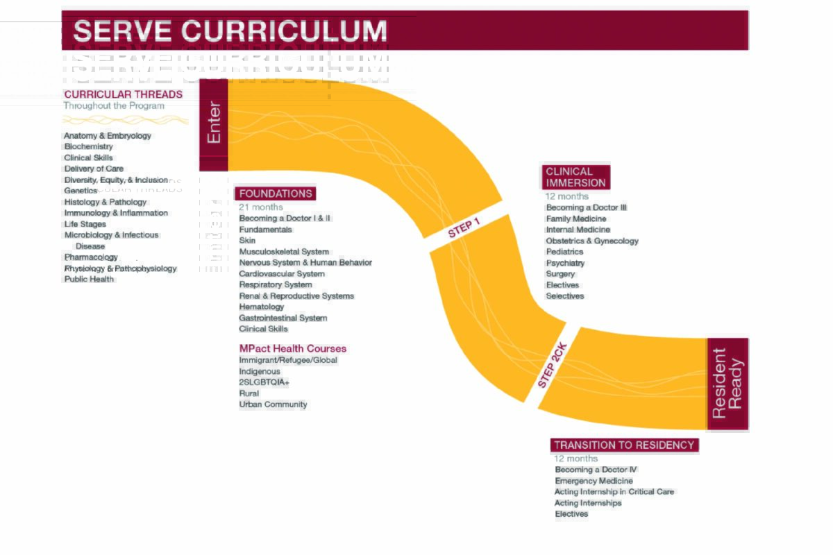 Illustration of the Med School curriculum path