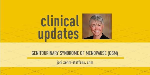 Photo of Joni Zehm-Steffens, CNM, on the Clinical Updates cover featuring GSM